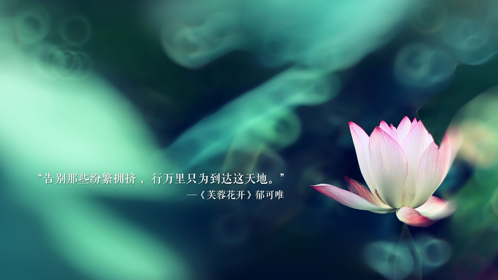 德甲：拜仁主场4-0完胜美因茨，排名继续领先，拜仁对阵美因茨