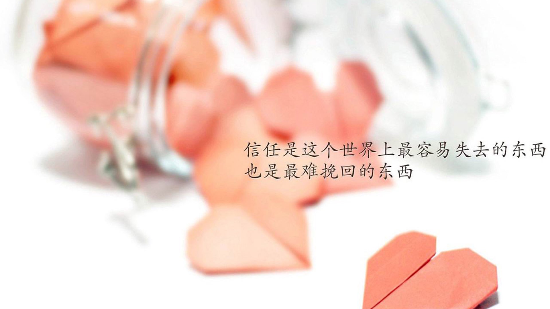 法国橄榄球的成功转型,成为国际赛事不可忽视的力量,法国橄榄球队