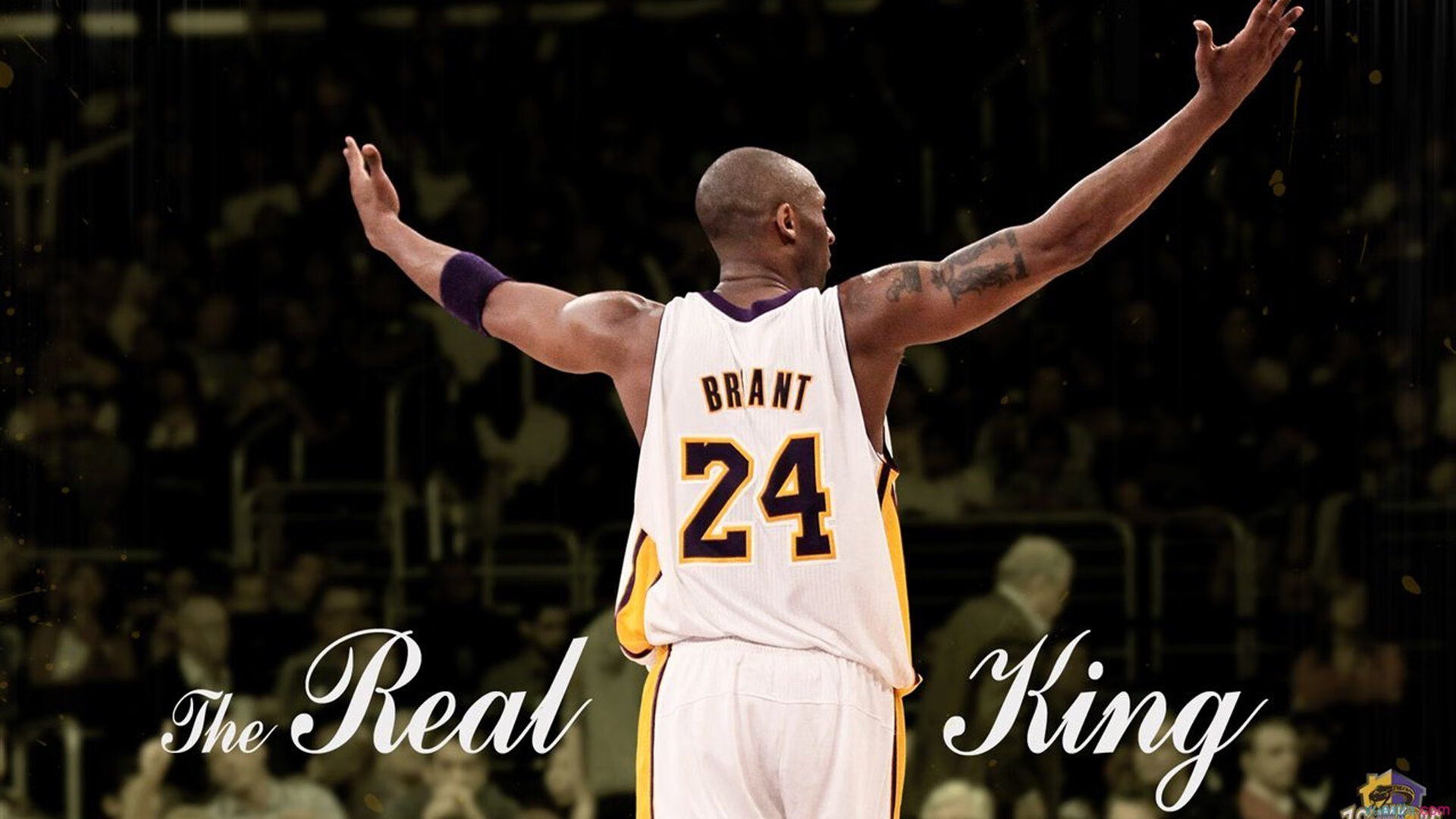 未来联盟:引入AI数据分析,战术水平升华到新高度!,一张图看懂未来联盟第一人, 现役第一人表示不服