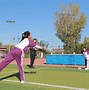 关于"青少年校园运动的推广计划：团结与希望"的信息