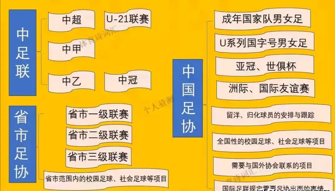 "中国足球未来规划：重建与成长的道路"